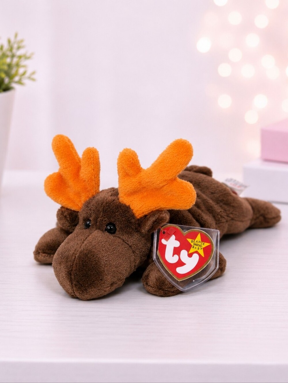 TY Beanie Baby Chocolate the Moose Plush with Tag – Vintage Stuffed Animal